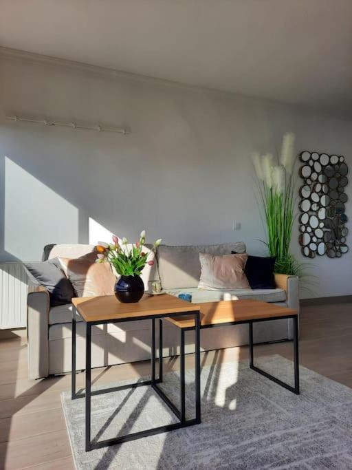 Murtal Apartment Benidorm Kültér fotó